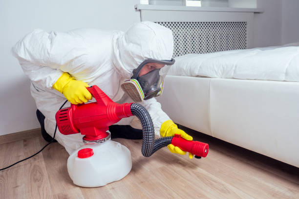 Professional Pest Control in Oceano, CA